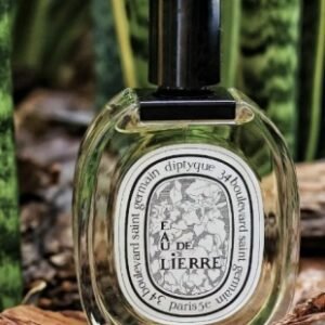 💹45✍️专柜版本
蒂普提克白标 常青藤 香水100ml